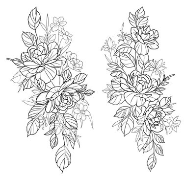 Peony flower bunch outline black and white vector SVG
