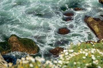 Closeup shot of foamy waves on the rocky shore of San Diego © Alexander Prokic/Wirestock Creators
