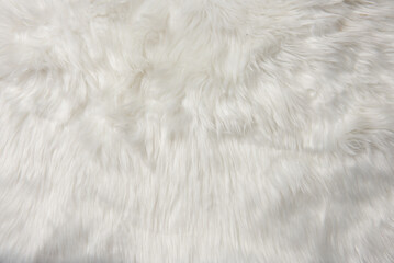 Fototapeta na wymiar White fur texture, close-up.Useful as background