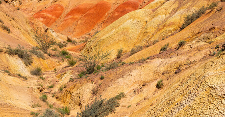 Cracked clay in the desert