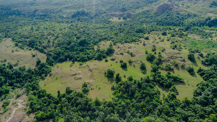 Aerial photo of tropical forest in Aceh Province, Indonesia