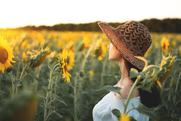 A young girl in a white dress and hat in a field of sunflowers at sunset. Portrait of a woman with a slim figure on a background of yellow flowers