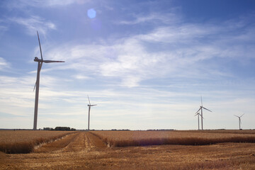 Fototapeta premium Farma wiatrowa zainstalowana na polu uprawnym