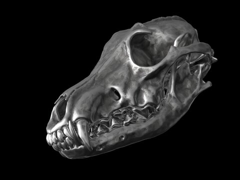 Wolf skull made out of dark metal - 3D Illustration