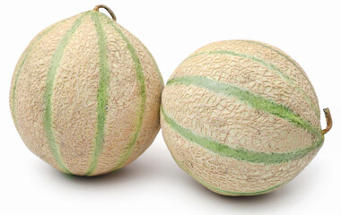Cantaloupe or rockmelon