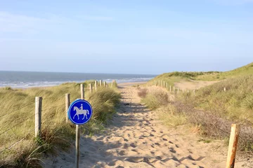 Photo sur Plexiglas Mer du Nord, Pays-Bas Signe d& 39 un chemin d& 39 équitation. Vue depuis le sommet des dunes sur le coucher du soleil en mer du Nord. Le Meijendel, réserve naturelle à Wassenaar. Hollande méridionale, Pays-Bas.