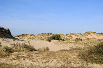 Coastal dunes, rich in bird life, with marked walking trails and cycling paths. The Meijendel, nature preserve in Wassenaar, South Holland, The Netherlands. 