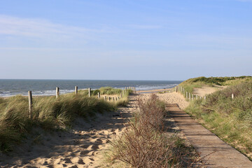 Fototapeta na wymiar Beautiful sand dunes and wide beaches on the North Sea coast in South Holland, The Netherlands. 