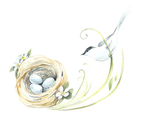 Bird on a nest. Pattern with bird and eggs. Watercolor hand drawn illustration