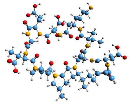3D image of Malacidin В skeletal formula - molecular chemical structure of bacterial metabolite isolated on white background