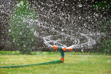 Green lawn automatic irrigation system in park. Watering lawn at heat summer. Close up.