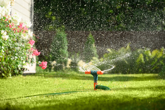 Watering garden with a hose at heat summer. Close up. Automatic smart irrigation system.