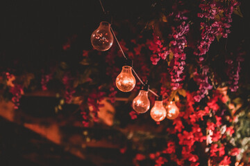 Glühbirnen Beleuchtung in einem Garten