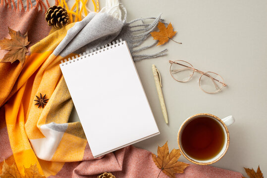 Autumn inspiration concept. Top view photo of open notepad pen spectacles cup of tea anise fallen maple leaves pine cones and plaid scarf on isolated grey background with empty space