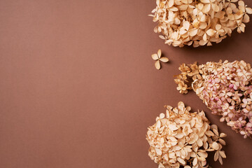 Dry natural grass, leaves and flowers beauty and fashion concept mock up