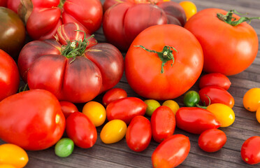 different varieties of ripe red and yellow appetizing tomatoes