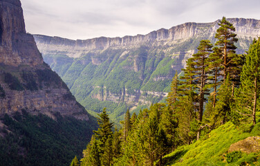 Vista panorámica de un valle alpino con arboles en primer plano y nubes grises.
