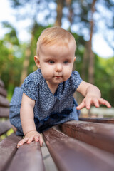 Adorable baby girl in a blue dress crawls on a park bench on a sunny summer day.