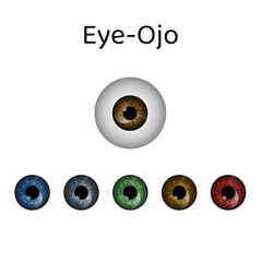 Ilustracion vectorial de un ojo, iris, córnea, pupila.