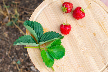 strawberries with leaves lie on a wooden plank
