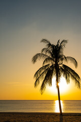Fototapeta na wymiar Beach sand sunset or sunrise with coconut palm tree