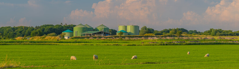 Panorama view of countryside with grazing sheeps and biogas plant. Sheeps grazing on grass field...
