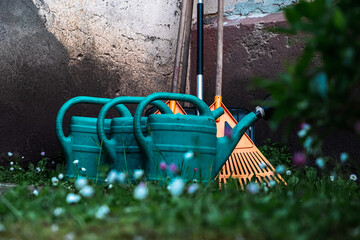 Close-up of plastic watering cans and leaf rakes at concrete wall with blurred blooming white...