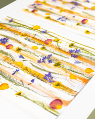 Contemporary botanical art of pressed flowers. Oshibana. Geometrical Composition of dried plants in...