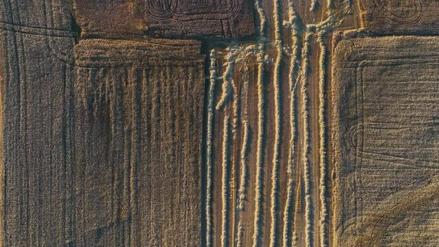 Freshly harvested cereal farms. Aerial view of the agricultural landscape in the town of Colina de Losa. Traslaloma Board. Losa Valley. Region of Las Merindades. Burgos. Castile and Leon. Spain. Europ