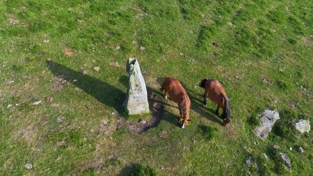 Pedruecos cairn or menhir of 2.5 meters. In Resconorio, on the hill above Carrascal de Cocej&oacute;n and the border with San Pedro del Romeral, north of the La Matanela pass, near the province of Burgos. Lu