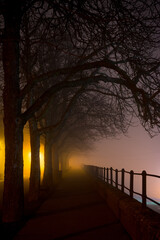 Walkway on misty winter night