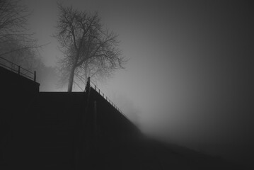Walkway on misty winter night
