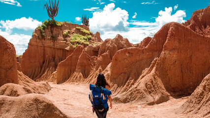 Wandering Spirit Amidst Desert Mountains