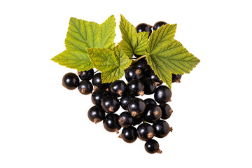 Black currants with leaves on a white background.