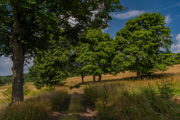Obraz premium Summer morning in Krusne mountains over Chomutov town with color meadows