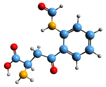 3D image of N-Formylkynurenine skeletal formula - molecular chemical structure of  metabolite isolated on white background