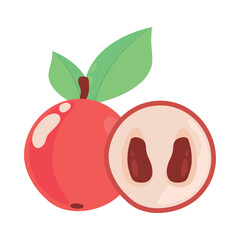 pomegranate fruit icon