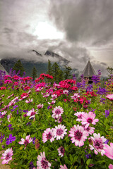 Obraz premium Mountain and building peaks with daisies in the foreground poking out of clouds