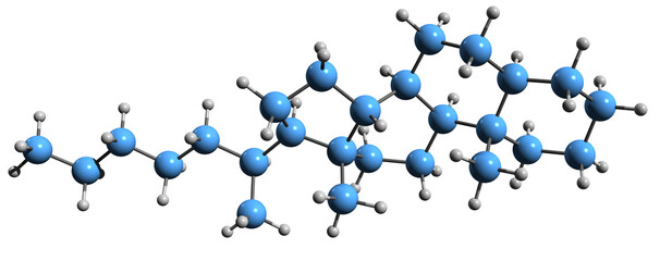 3D image of Norcholestane skeletal formula - molecular chemical structure of steroid derivative isolated on white background