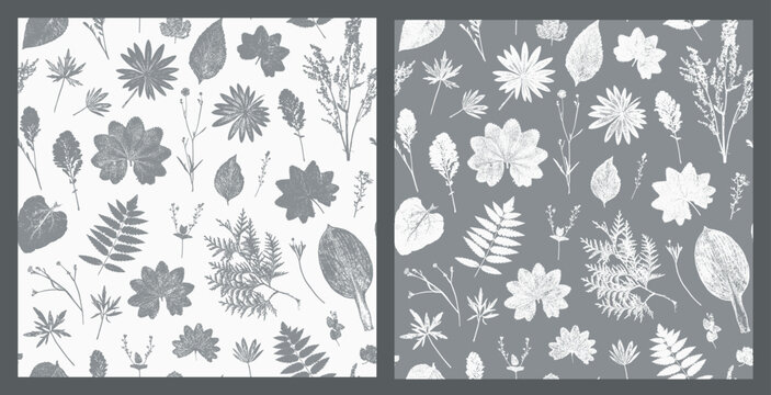 Natural Wildflowers and Herbs Print. Vector Set of Vintage Monochrome Seamless Patterns with Grass Leaf Silhouettes. Stamp Leaves. Floral Background. Meadow Plants Wallpaper