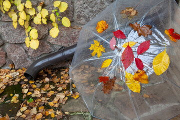 Transparent umbrella with leaves stands in front of stone fence