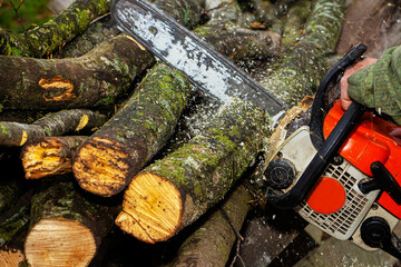 Close-up professional chainsaw blade cutting log of wood.