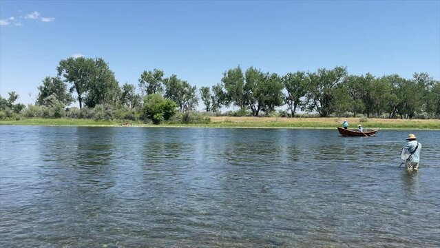 4K video of an angler fly fishing while wading in the Bighorn River near Fort Smith, Montana. Clear water, gentle current, and lush riverside trees create a peaceful scene on one of the country's prem