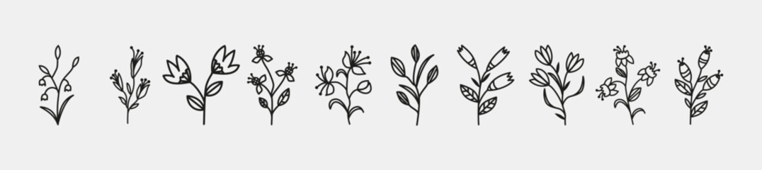 Wildflower line art set. Flower doodle botanical collection. Herbal and meadow plants, grass. Vector illustration isolated on white background. Chamomile, clover, daisy simple hand drawn elements.