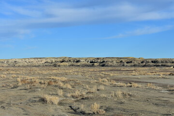 landscape in the desert