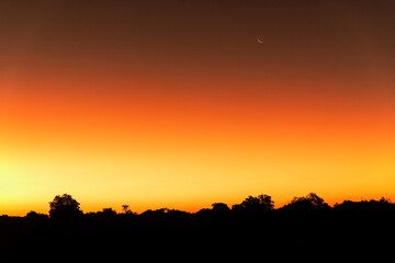 Fototapeta na wymiar Moon at sunset in Mashatu - Botswana 