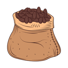 cacao grains in sack