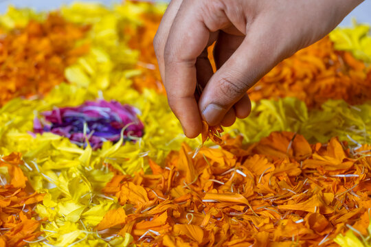 Hand Preparing Pookalam, Traditional Flowers Decoration To Celebrate Onam Festival In Kerala