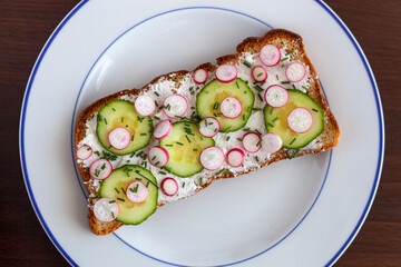 Radish, cucumber and soft cheese toast served on a plate