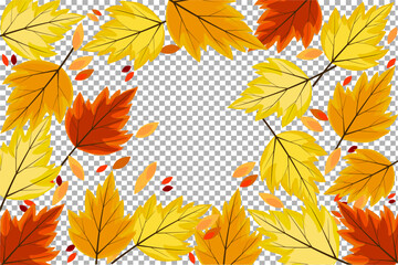 Autumn leaves on a transparent background. Bright pattern with yellow falling leaves.
Frame mockup for greeting card, poster decoration.
Vector illustration
